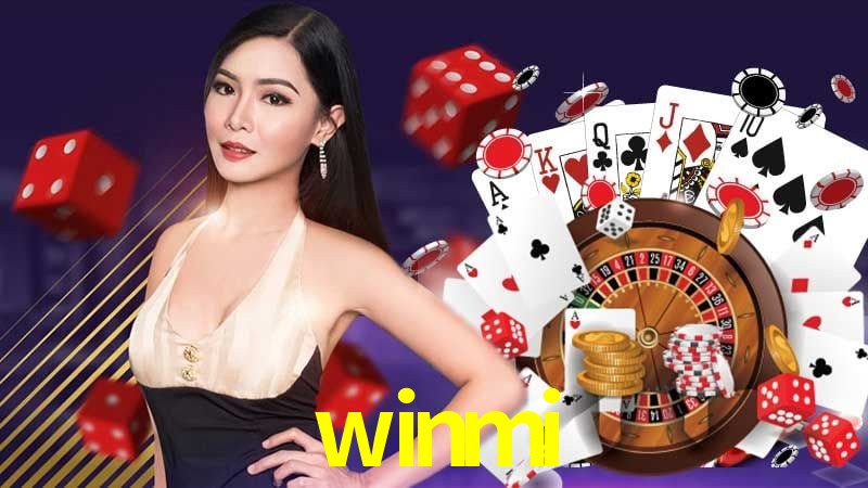 Interface Premium winmi